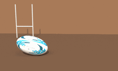 Deinde Sport - Material entrenamiento - accesorios rugby juego