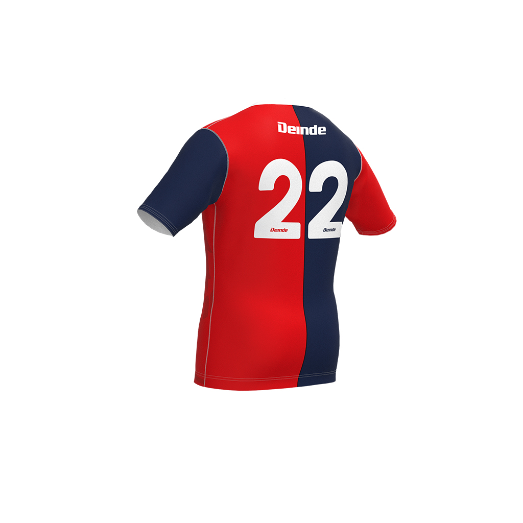 Camiseta Rugby DinD V-Neck